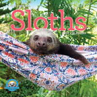 Original Sloths Wall Calendar 2026: The Ultimate Experts at Slowing Down 1523529334 Book Cover