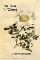 The Rose In Winter 1326129287 Book Cover