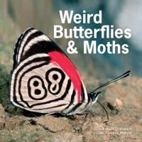 Weird Butterflies and Moths 1770858156 Book Cover