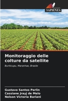 Monitoraggio delle colture da satellite 6205738716 Book Cover