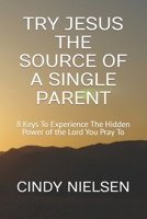 TRY JESUS THE SOURCE OF A SINGLE PARENT: 8 Keys To Experience The Hidden Power of the Lord You Pray To B0CWRFW35G Book Cover