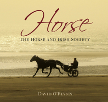Horse: The Horse and Irish Society 1845887069 Book Cover