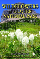 Wildflowers of Glacier National Park: And Surrounding Areas 0878427090 Book Cover