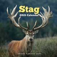 Stag Calendar 2021: Lover Gifts B08LNG9S46 Book Cover