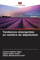 Tendances émergentes en matière de dépollution (French Edition) 6208381797 Book Cover