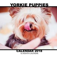 Yorkie Puppiess Calendar 2018: 16 Month Calendar 197977353X Book Cover