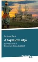 A fájdalom útja: Egy történet a Bukottak Krónikájából 371033456X Book Cover