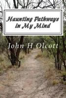 Haunting Pathways In My Mind: PTSD: Paralyzing Twisted Situations Daily 1483446026 Book Cover