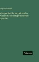 Compendium der vergleichenden Grammatik der indogermanischen Sprachen 3386428169 Book Cover