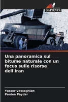 Una panoramica sul bitume naturale con un focus sulle risorse dell'Iran (Italian Edition) 6206449254 Book Cover
