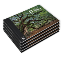 Oaks in Office: Biblical Essays for Political Leaders, Four Volume Set 1946497150 Book Cover