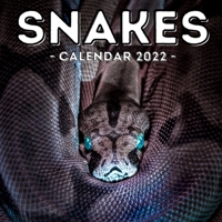 Snakes Calendar 2022: 16-Month Calendar, Cute Gift Idea For Snake Lovers Women & Men null Book Cover