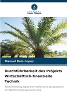 Durchführbarkeit des Projekts Wirtschaftlich-finanzielle Technik 6207383621 Book Cover