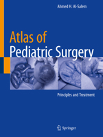 Atlas of Pediatric Surgery: Principles and Treatment 303029210X Book Cover
