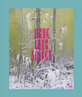 Sandra Kantanen: More Landscapes 3775745939 Book Cover