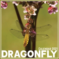 Dragonfly Calendar 2021: Official Dragonfly Calendar 2021, 12 Months B08VYFJTNH Book Cover