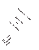 Brush with the Law - The Screenplay B0G5HRL9WF Book Cover