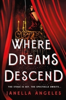 Where Dreams Descend 1250204356 Book Cover