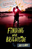 Finding Mr. Brightside 1250073650 Book Cover