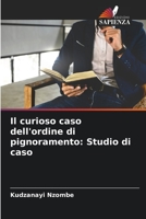 Il curioso caso dell'ordine di pignoramento: Studio di caso 6205735105 Book Cover