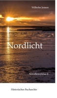 Nordlicht: Novellenzyklus II (German Edition) 3384648676 Book Cover