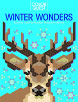 Color Quest: Winter Wonderland 1438089511 Book Cover