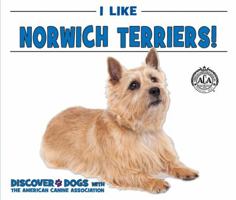 I Like Norwich Terriers! 0766096718 Book Cover