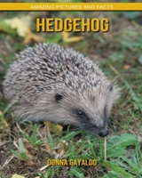 Hedgehog: Amazing Pictures and Facts B088BBPD9P Book Cover