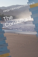 The Consultant B086G277JG Book Cover