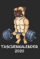 Taschenkalender 2020: Taschenkalender f�r Sept. 2019 bis Dezember 2020 A5 Terminplaner Wochenplaner Terminkalender Wochenkalender Organizer mit Mops Hund Gym Fitness Bodybuilder Sport 1695392329 Book Cover