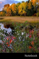 Notebook: Paisaje, Naturaleza, �rboles, Agua Cuaderno / Diario / Libro de escritura / Notas - 6 x 9 pulgadas (15.24 x 22.86 cm), 150 p�ginas, superficie brillante. 1708005382 Book Cover