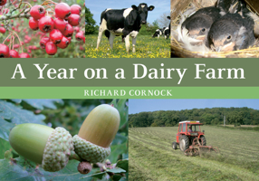 A Year on a Dairy Farm 1445648466 Book Cover