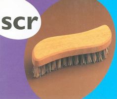 Scr 0763541338 Book Cover