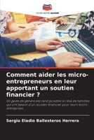 Comment aider les micro-entrepreneurs en leur apportant un soutien financier ? 6205915995 Book Cover