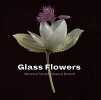 Meadows Museum: A Handbook of the Collection 1785513141 Book Cover