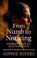 From Numb to Noticing (Emotional Flow) B0G2TQSK7K Book Cover