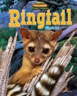 Ringtail 1617725803 Book Cover