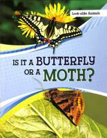 Is It a Butterfly or a Moth? 1398225568 Book Cover