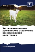 ????????????????? ... (Russian Edition) 6207866738 Book Cover