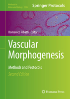 Vascular Morphogenesis: Methods and Protocols 1493914618 Book Cover