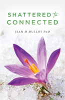 Shattered to Connected B0DV8FM1NN Book Cover