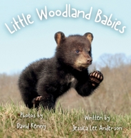 Little Woodland Babies 1964078679 Book Cover