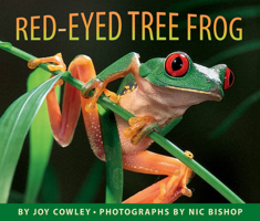 Red-eyed Tree Frog (Scholastic Bookshelf)