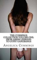 The Cummings Collection Volume One: From Amish Lesbians to Gypsy Gangbangs 1537044397 Book Cover