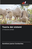 Teoria dei sistemi 6206388115 Book Cover