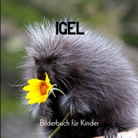 Igel: Bilderbuch für Kinder (German Edition) B0CWP1XXMT Book Cover