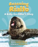 Rescuing Rialto: A Baby Sea Otter's Story 1250147646 Book Cover