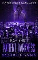 Patient Darkness : Brooding City Series Book 2 173348101X Book Cover