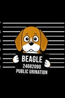 7 6 5 4 3 2 beagle 24682090 public urination: Beagle Public Urination Mugshot Funny Dog Journal/Notebook Blank Lined Ruled 6x9 100 Pages 169539562X Book Cover