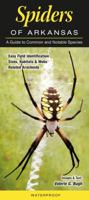 Spiders of Arkansas: A Guide to Common & Notable Species 1943334617 Book Cover